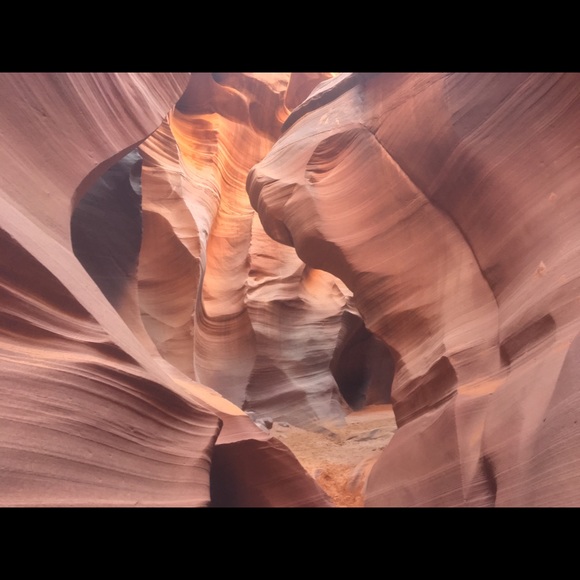 Meet your Posher, Andrew - Picture 1 of 1